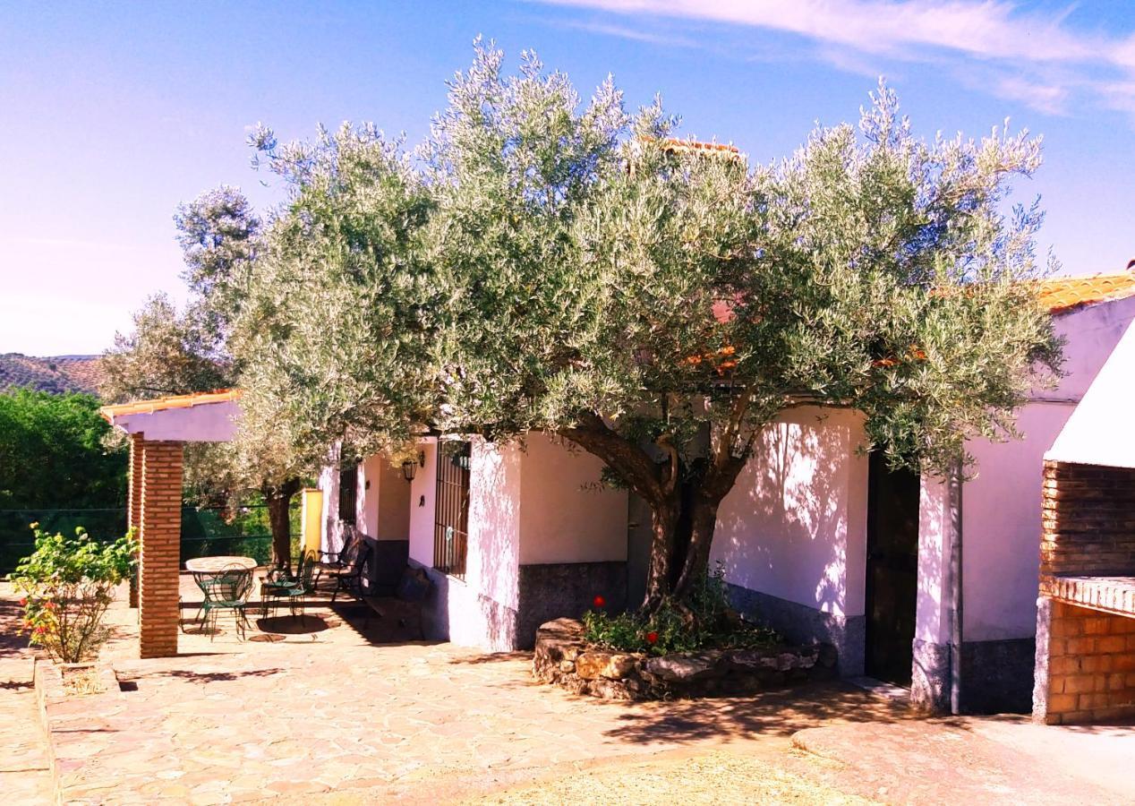 Vila Cortijo "Era Grande 2" Córdoba Exteriér fotografie
