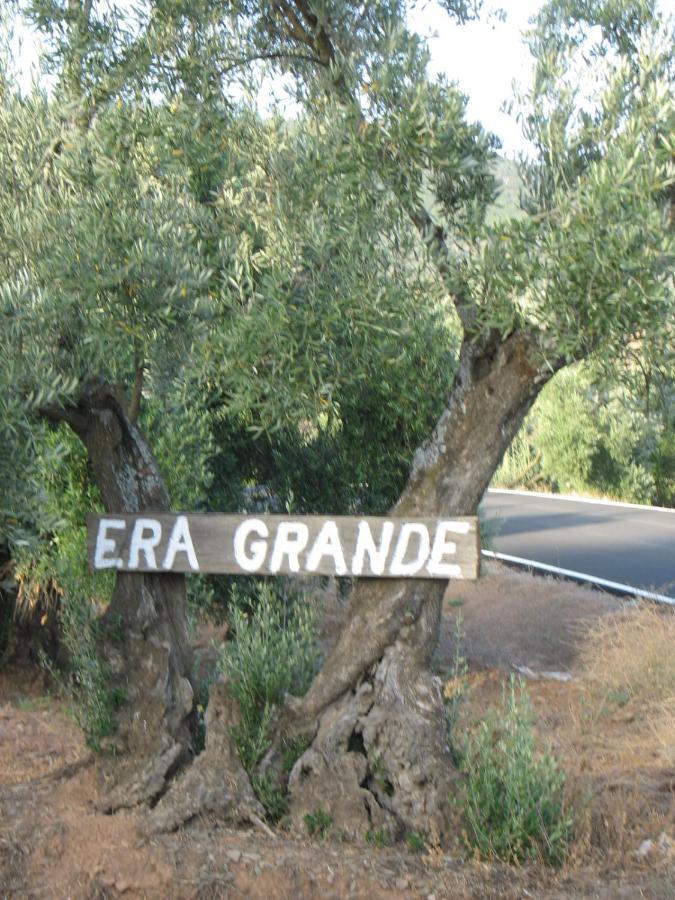 Vila Cortijo "Era Grande 2" Córdoba Exteriér fotografie