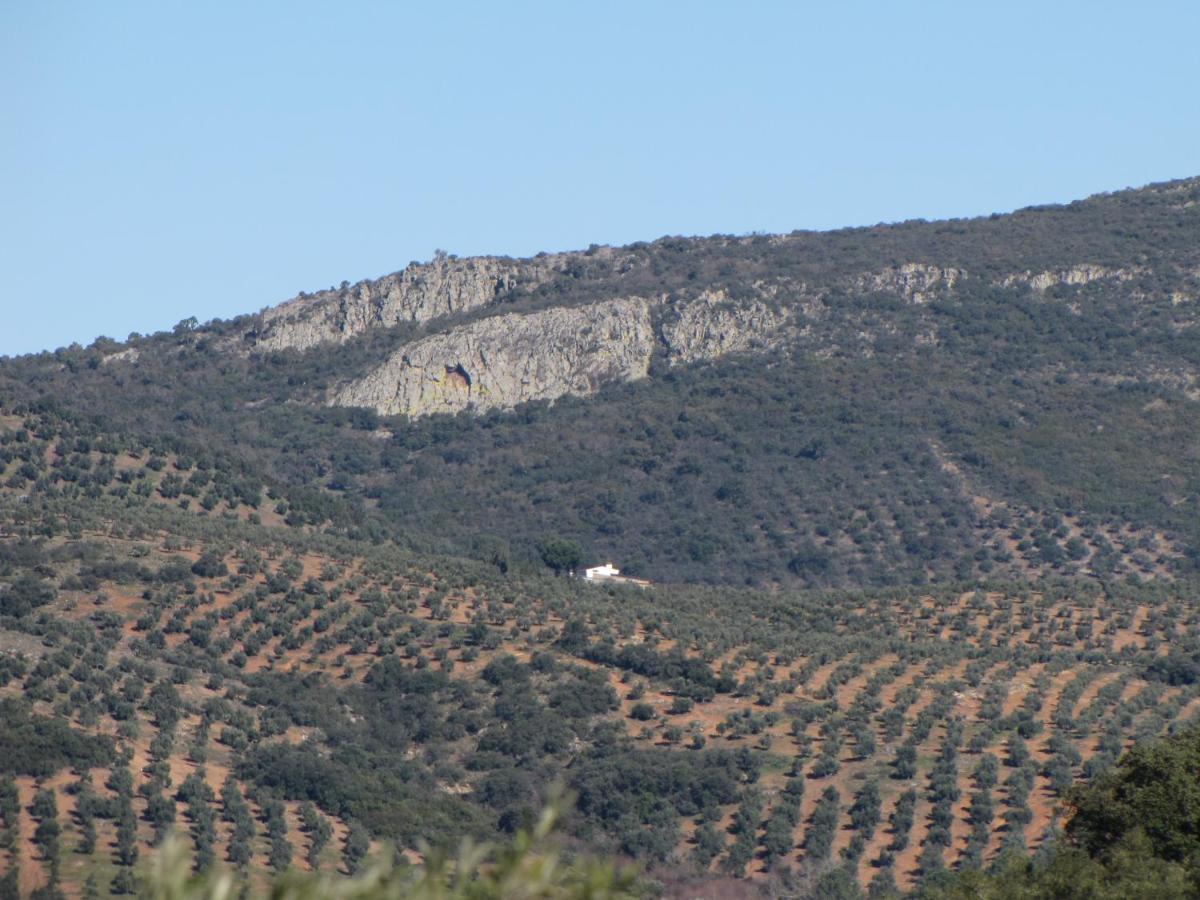 Vila Cortijo "Era Grande 2" Córdoba Exteriér fotografie