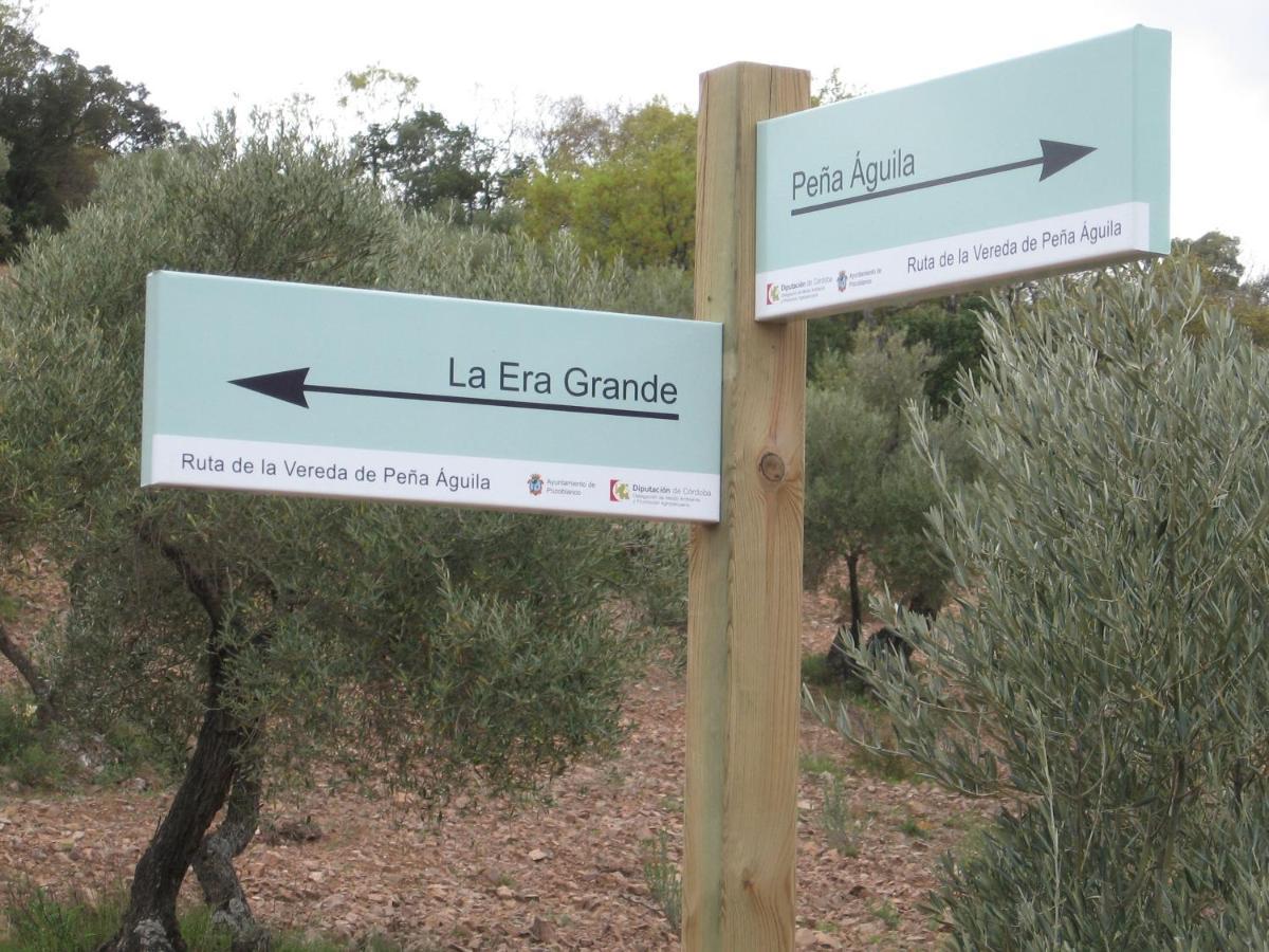 Vila Cortijo "Era Grande 2" Córdoba Exteriér fotografie